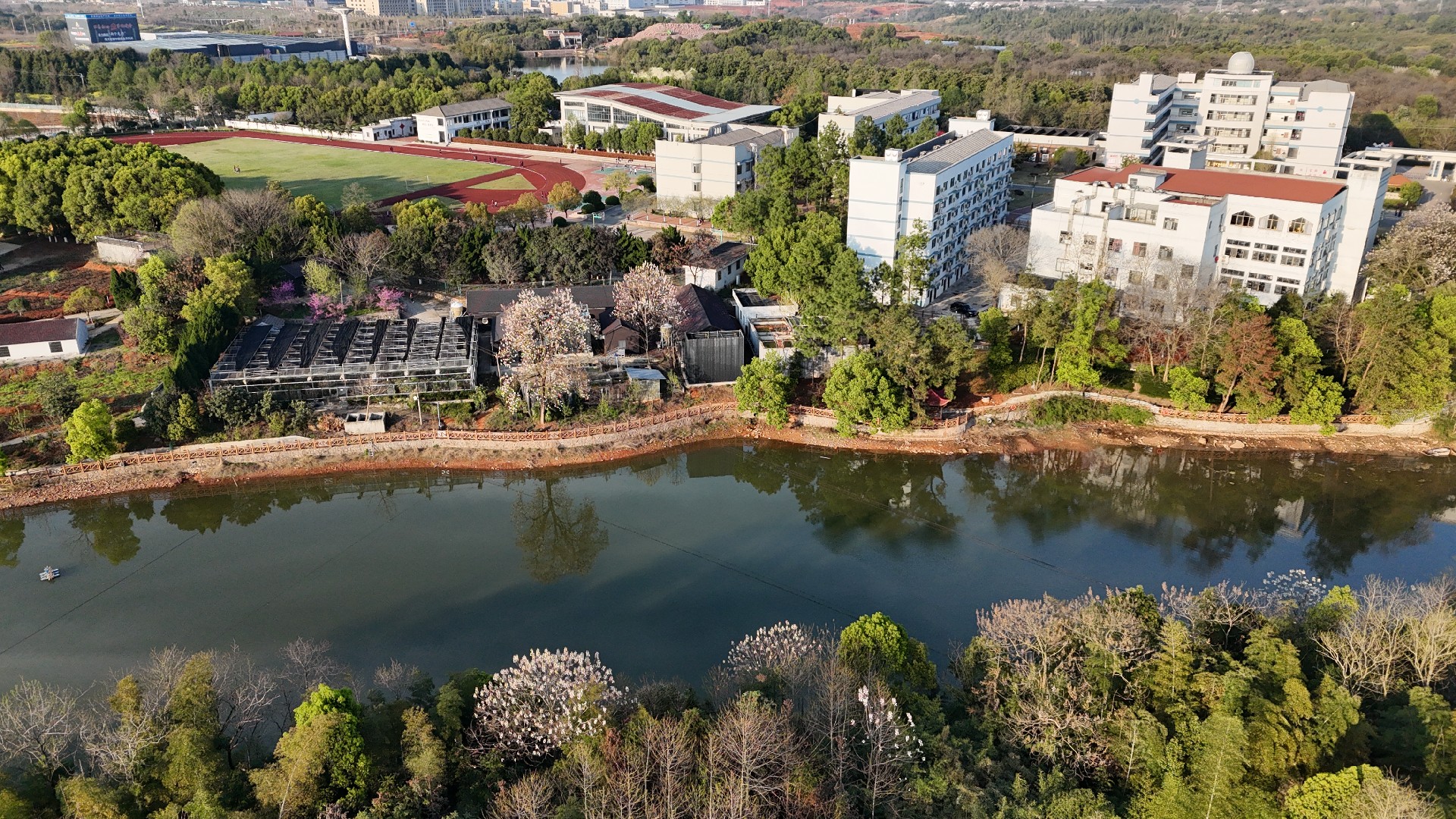 DJI_20240327171724_0127_D.JPG