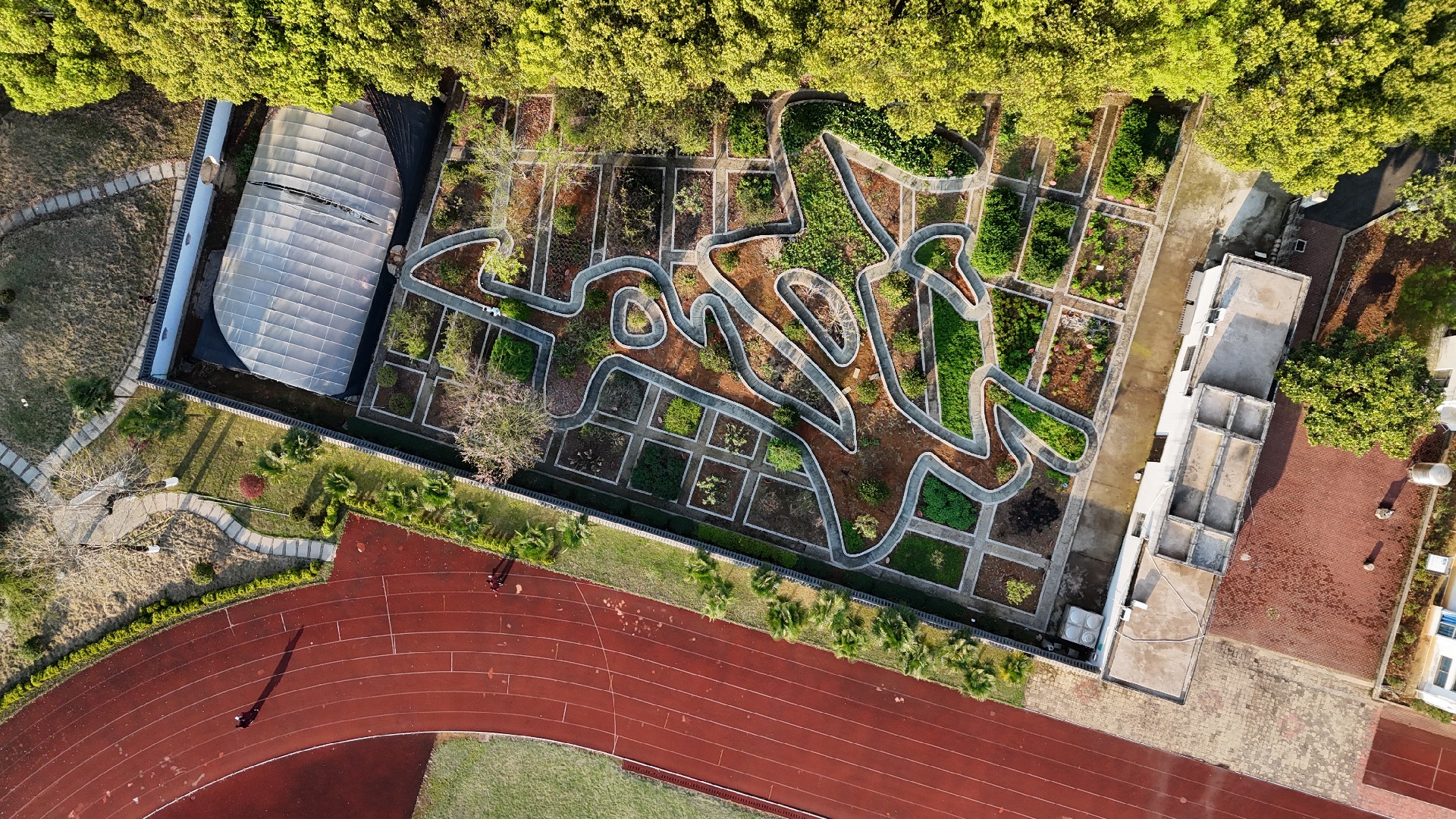 DJI_20240327171341_0122_D.JPG